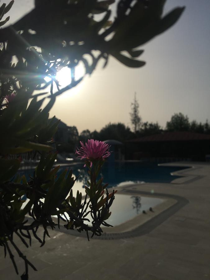 Dalyan Palmiye Resort Hotel Экстерьер фото